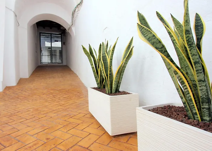 Apart Conil10