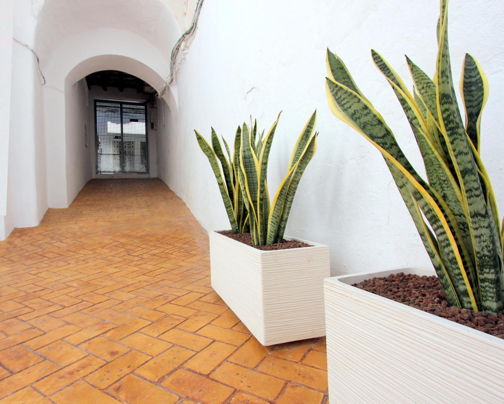 Apartment Conil10